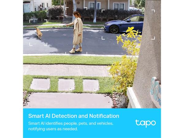 TP LINK Tapo C420S2 Outdoor Battery Camera 2-Pack (New)