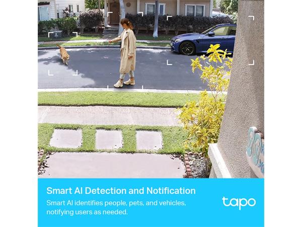 TP LINK Tapo C420S2 Outdoor Battery Camera 2-Pack (New) - Gadget Converters